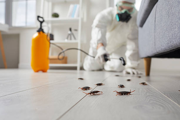 Commercial Kitchen Cockroach Control in Wendell